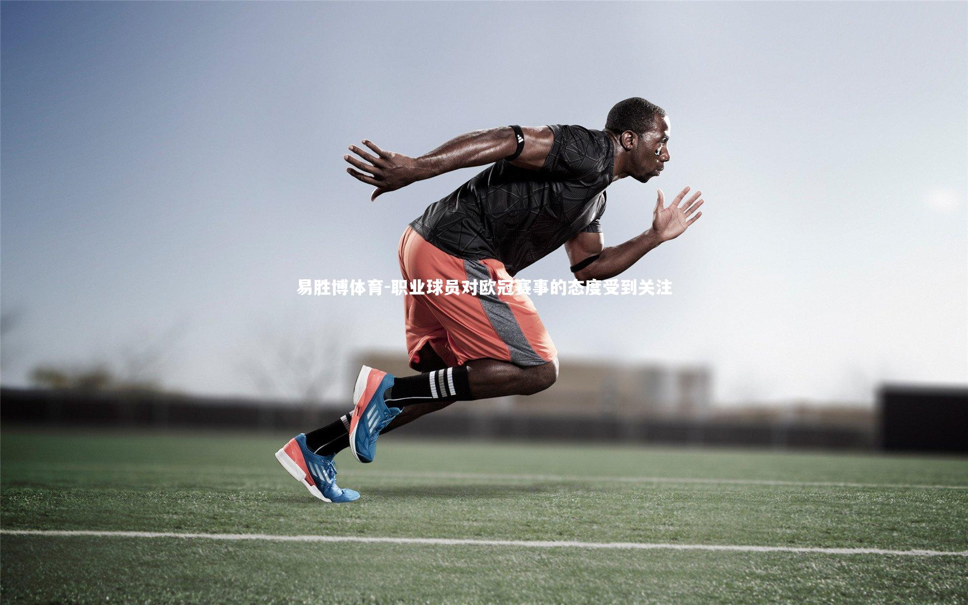 职业球员对欧冠赛事的态度受到关注